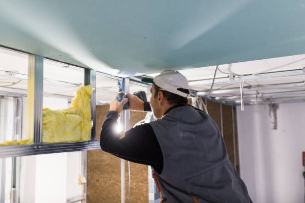 Best Spray Foam Insulation  in Wolfe City, TX