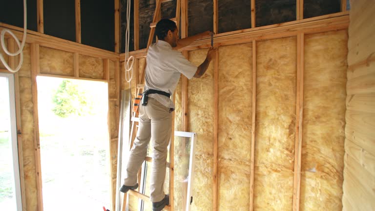 Trusted Wolfe City, TX Insulation Experts